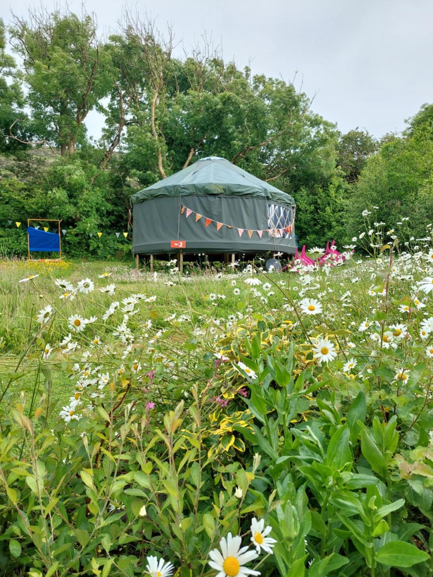 Campsite Granville House Glamping *